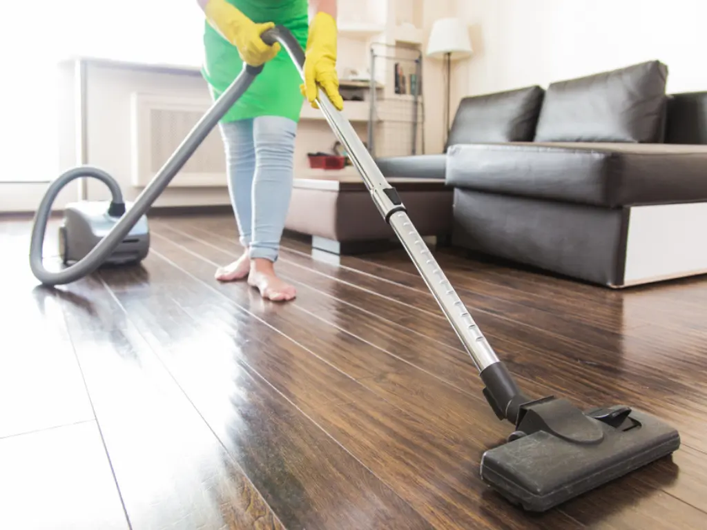 Attachment Details</p>
<p>Professional Residential Cleaning<br />
Services