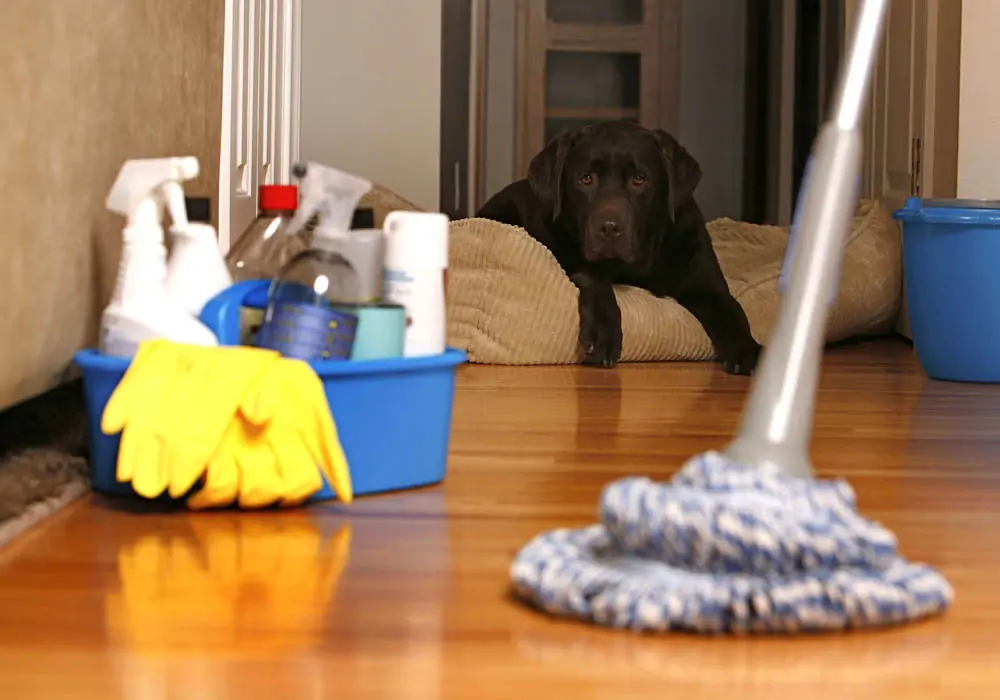 sarasota-residential-cleaning-service